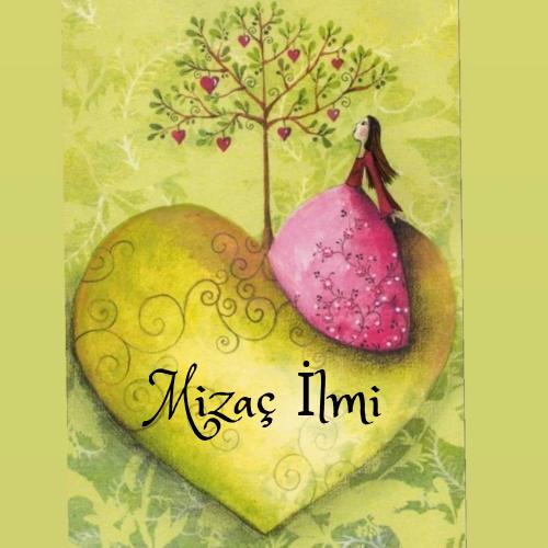mizaç ilmi